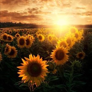 Meet your Posher, Madelyn